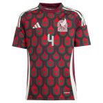 Shop edson alvarez mexico national team adidas youth 2024 home replica player jersey – burgundy – France Football Shirts & World Cup Jerseys