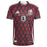 Shop guillermo ochoa mexico national team adidas 2024 home authentic player jersey – burgundy – France Football Shirts & World Cup Jerseys